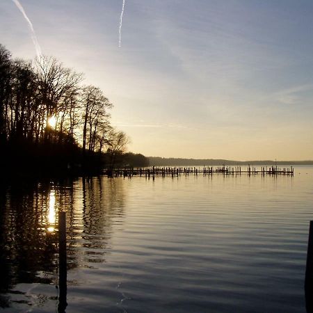 Ferienwohnungen Am Werbellinsee Schorfheide Bagian luar foto